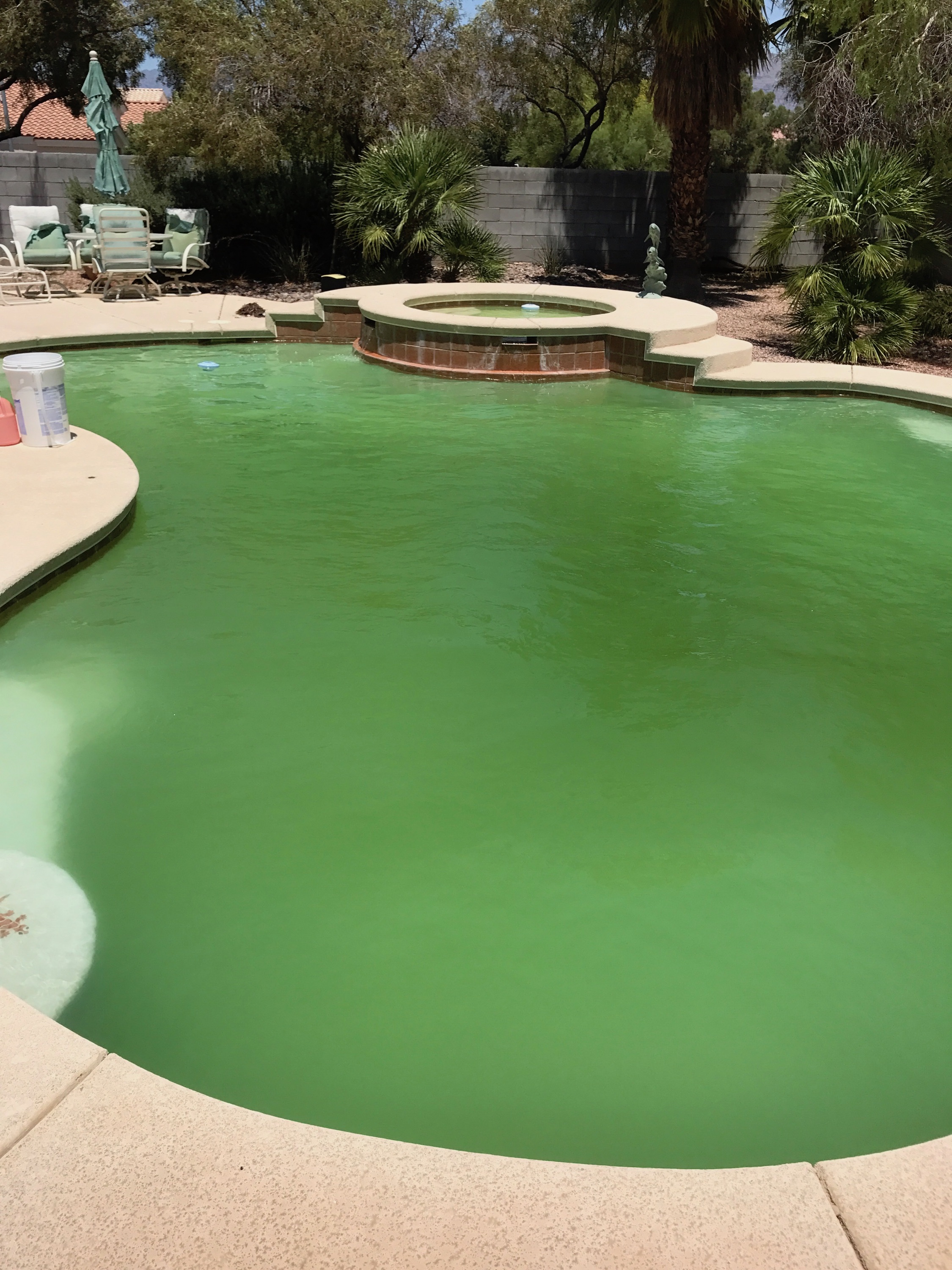 How to Clean a Green Pool Fast!